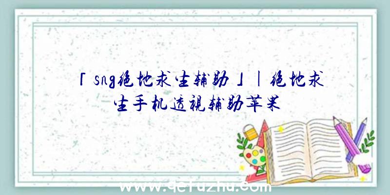 「sng绝地求生辅助」|绝地求生手机透视辅助苹果